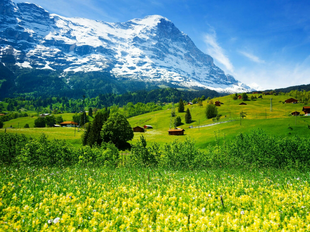 wallpaperbetter.com_1024x768 (6).jpg