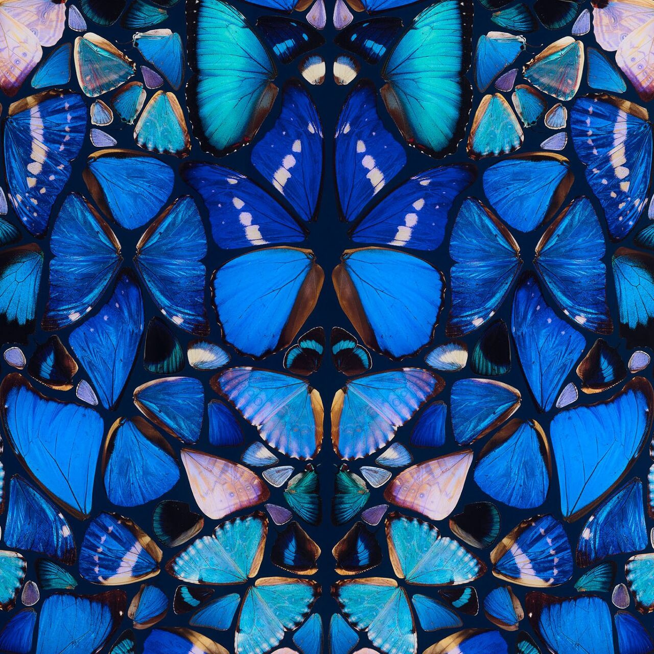 데미안 허스트( Damien Hirst)의 Psalm 148, 2008.jpg