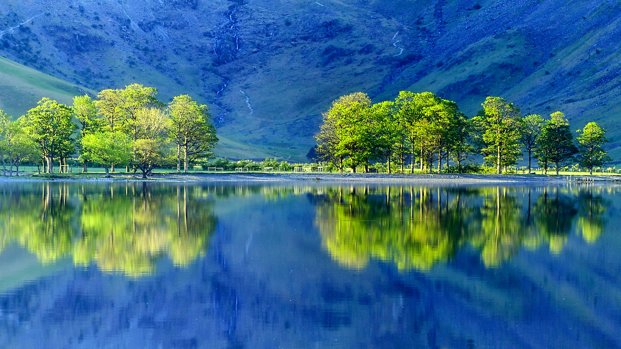 wallpaperbetter.com_1920x1080 (1).jpg