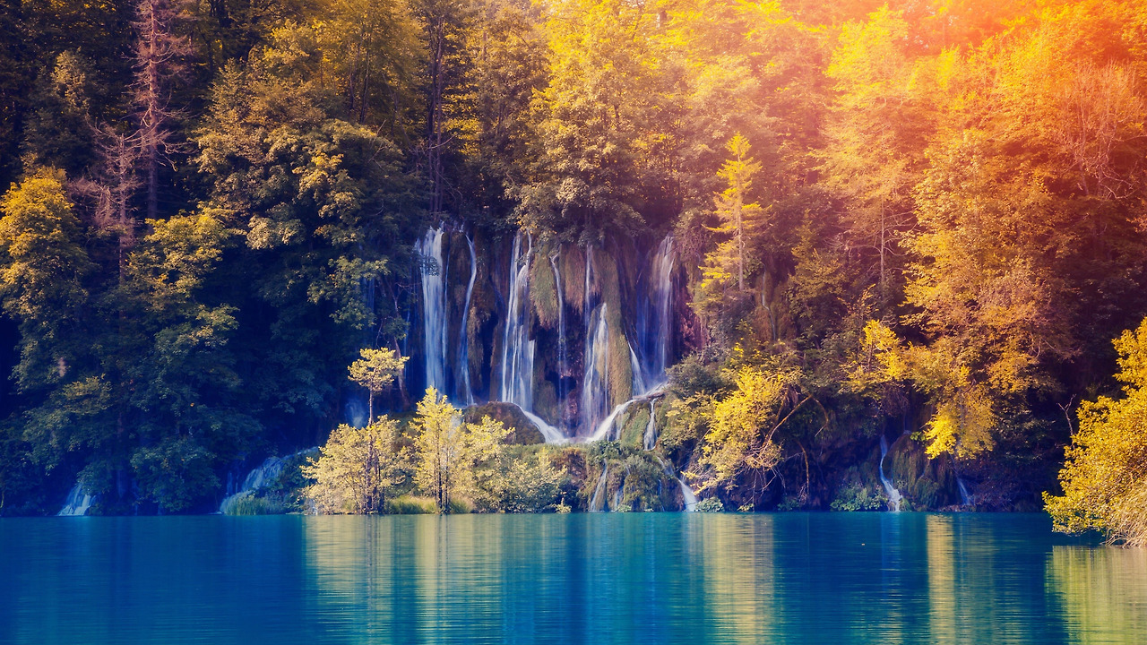 wallpaperbetter.com_1920x1080 (5).jpg