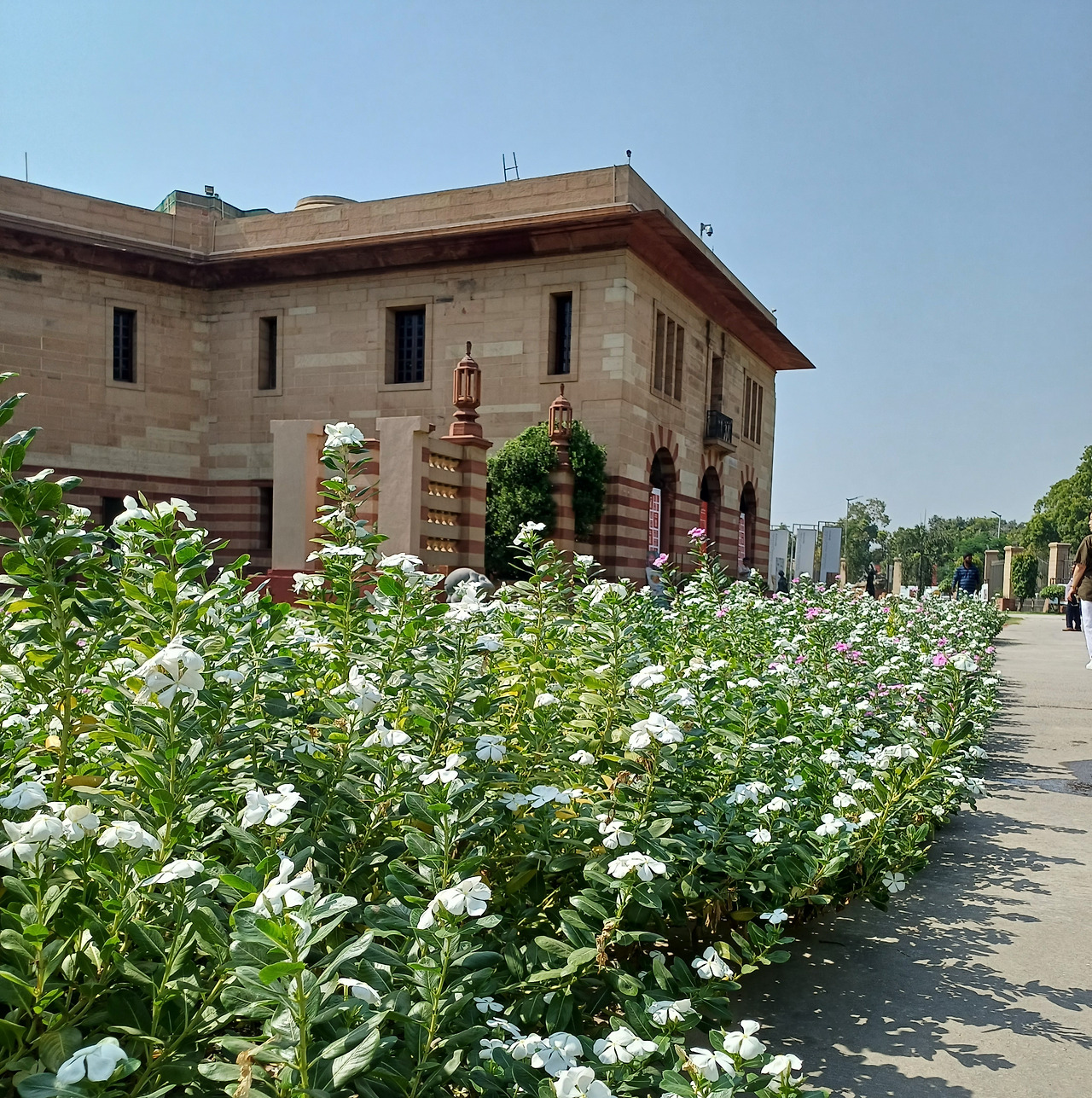 꽃만발현대미술관 20231007.jpg