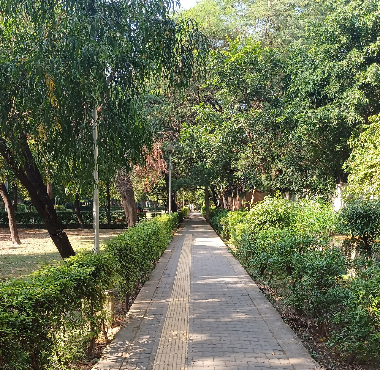 공원 산책로 20231019_143838.jpg