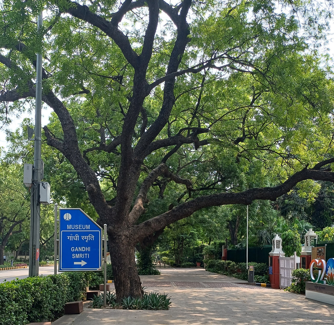 간디박물관안내문과나무.jpg