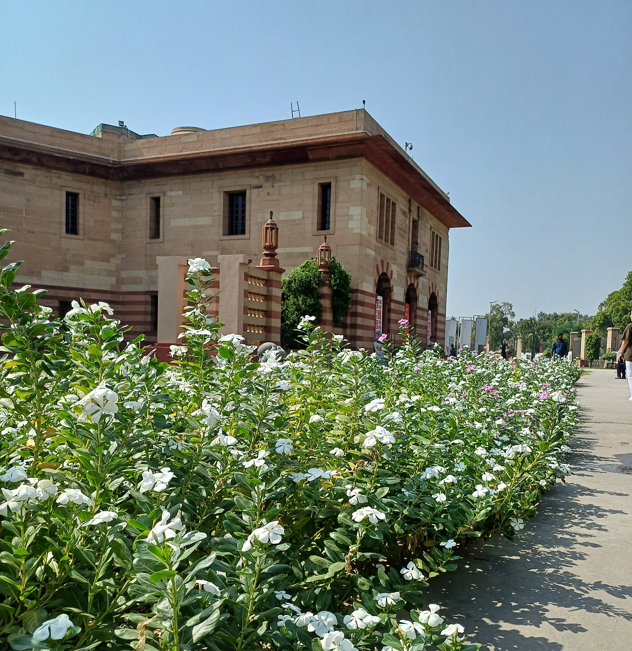 미술관 경내 꽃 20231007.jpg