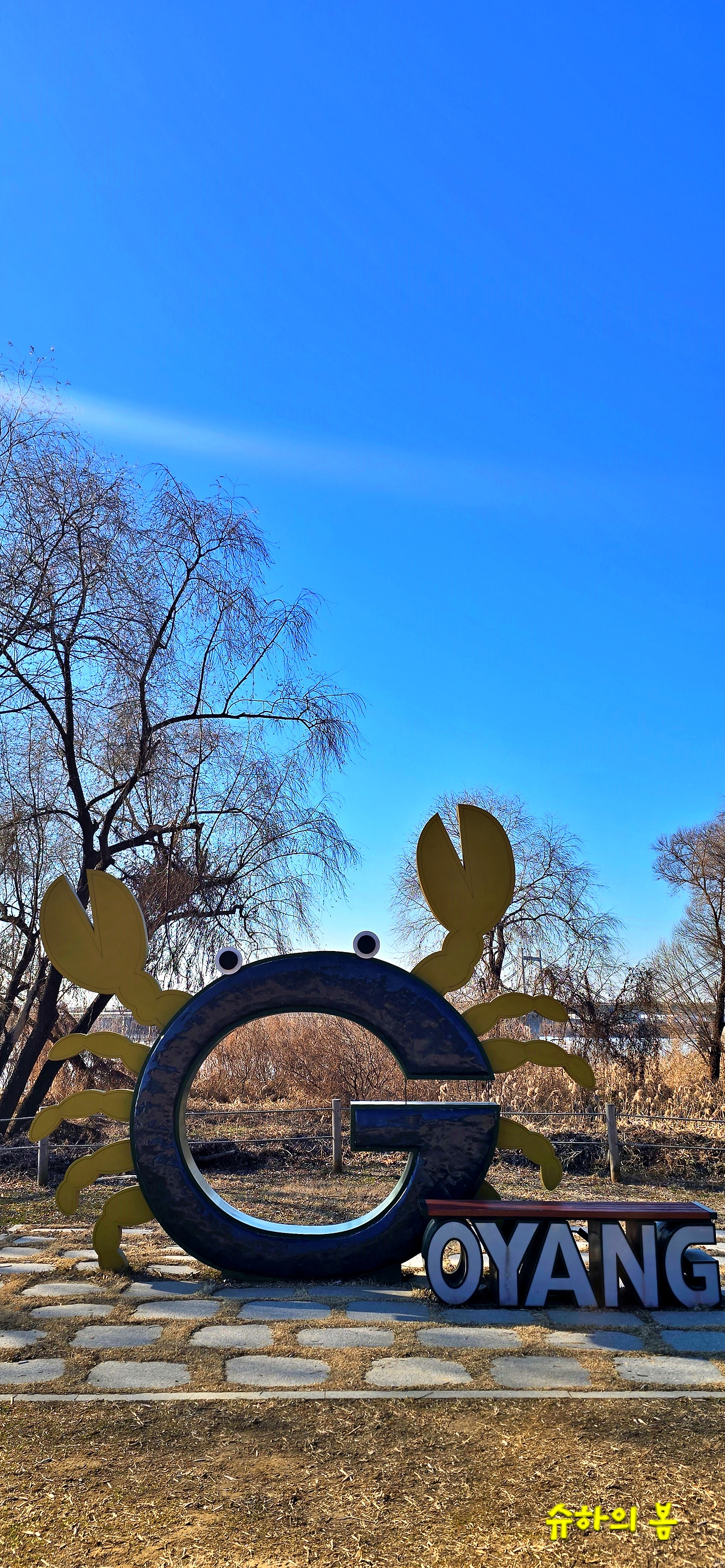 20250104_134730 정리.jpg