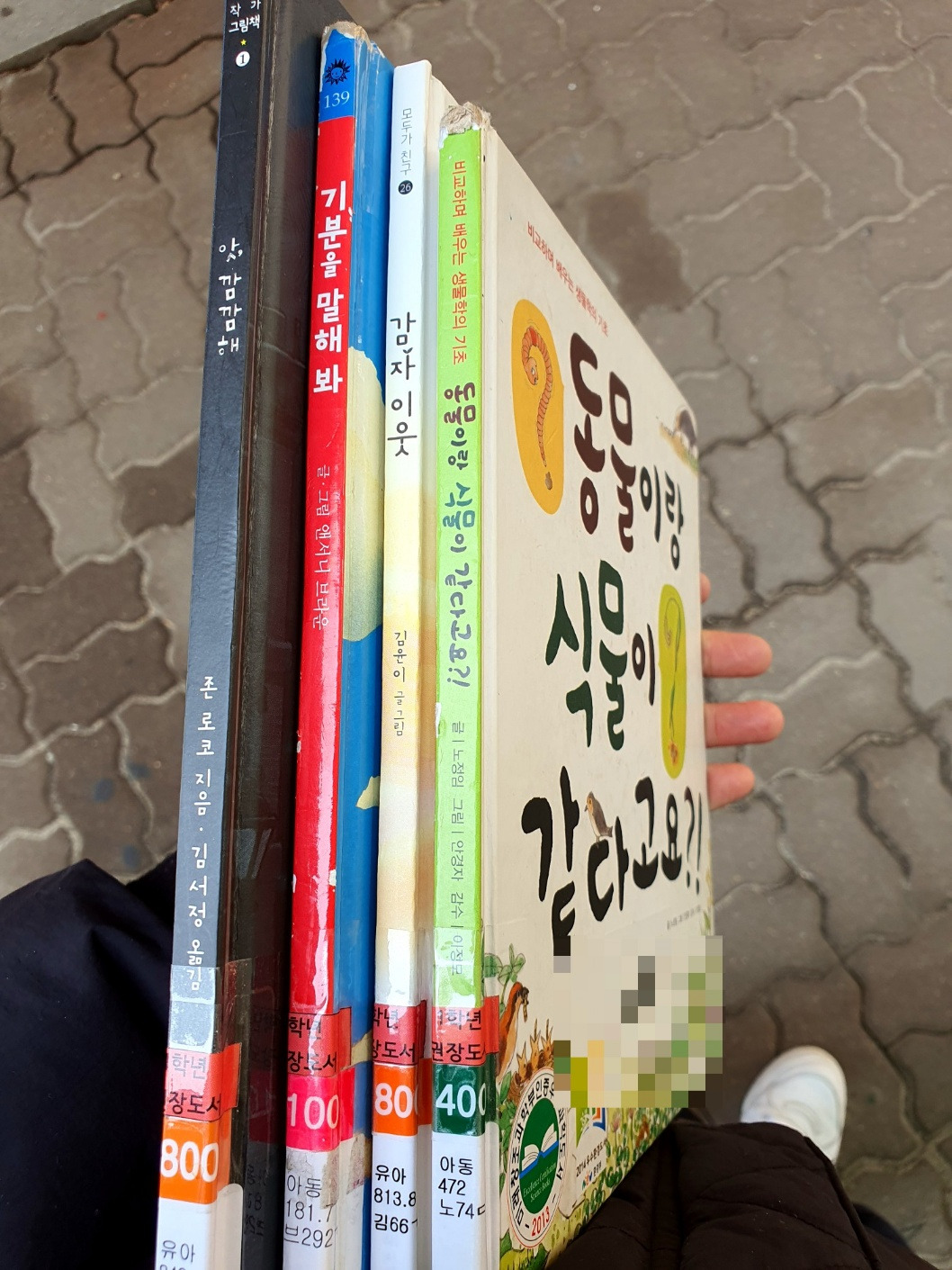 KakaoTalk_20250318_102717125 (1).jpg