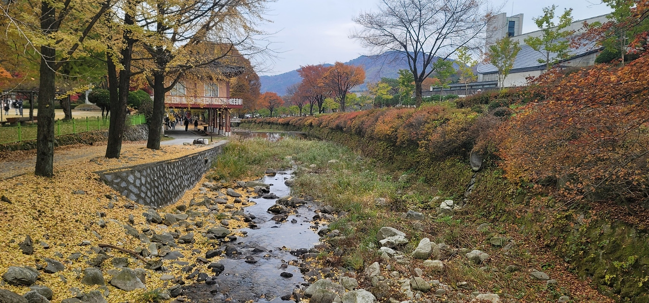 풍경 좋은 단풍.jpg