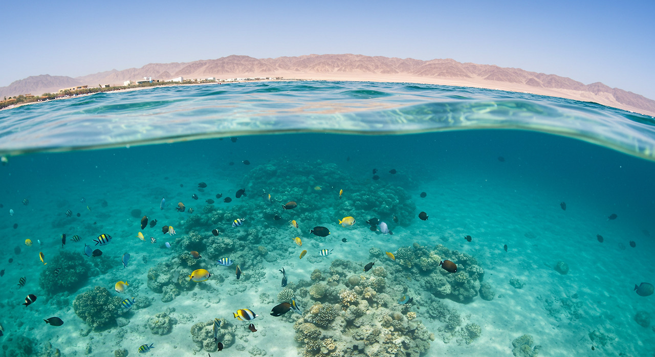 Image_fx - 2025-05-20T124411.780.jpg