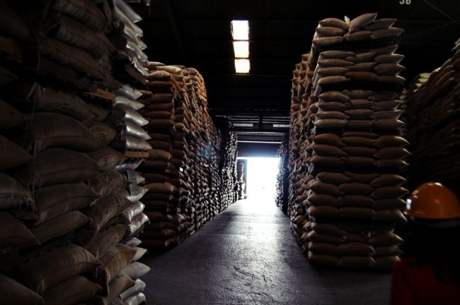 costa rica coffee export.jpg