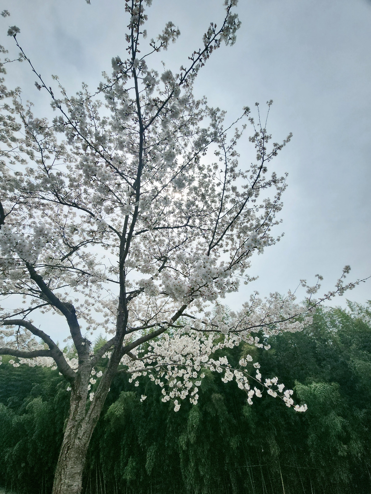 카지노 가입 쿠폰
