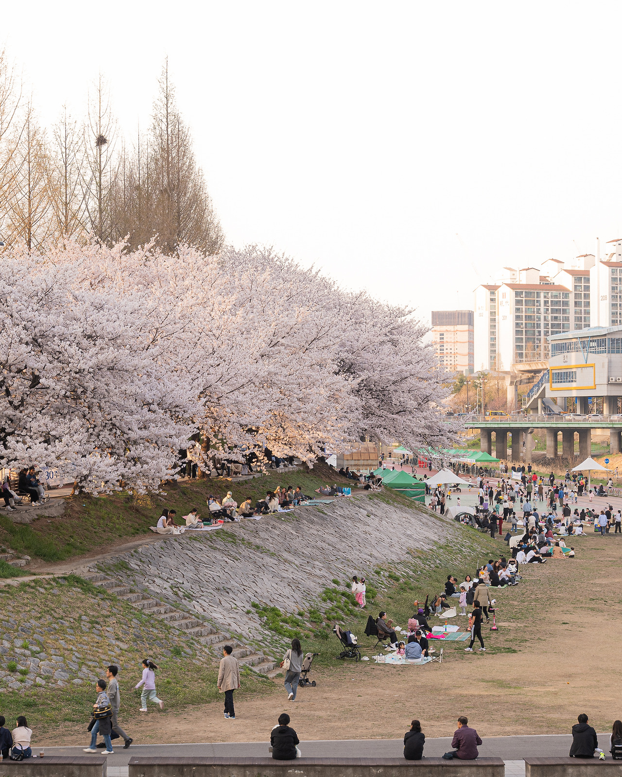 DSC_8877+ - 복사본.jpg