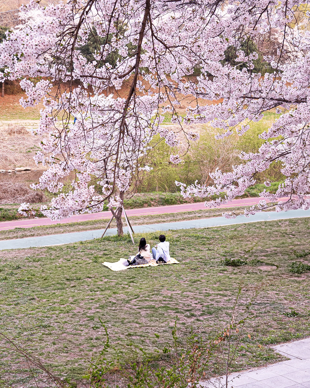 DSC_9028+ - 복사본.jpg