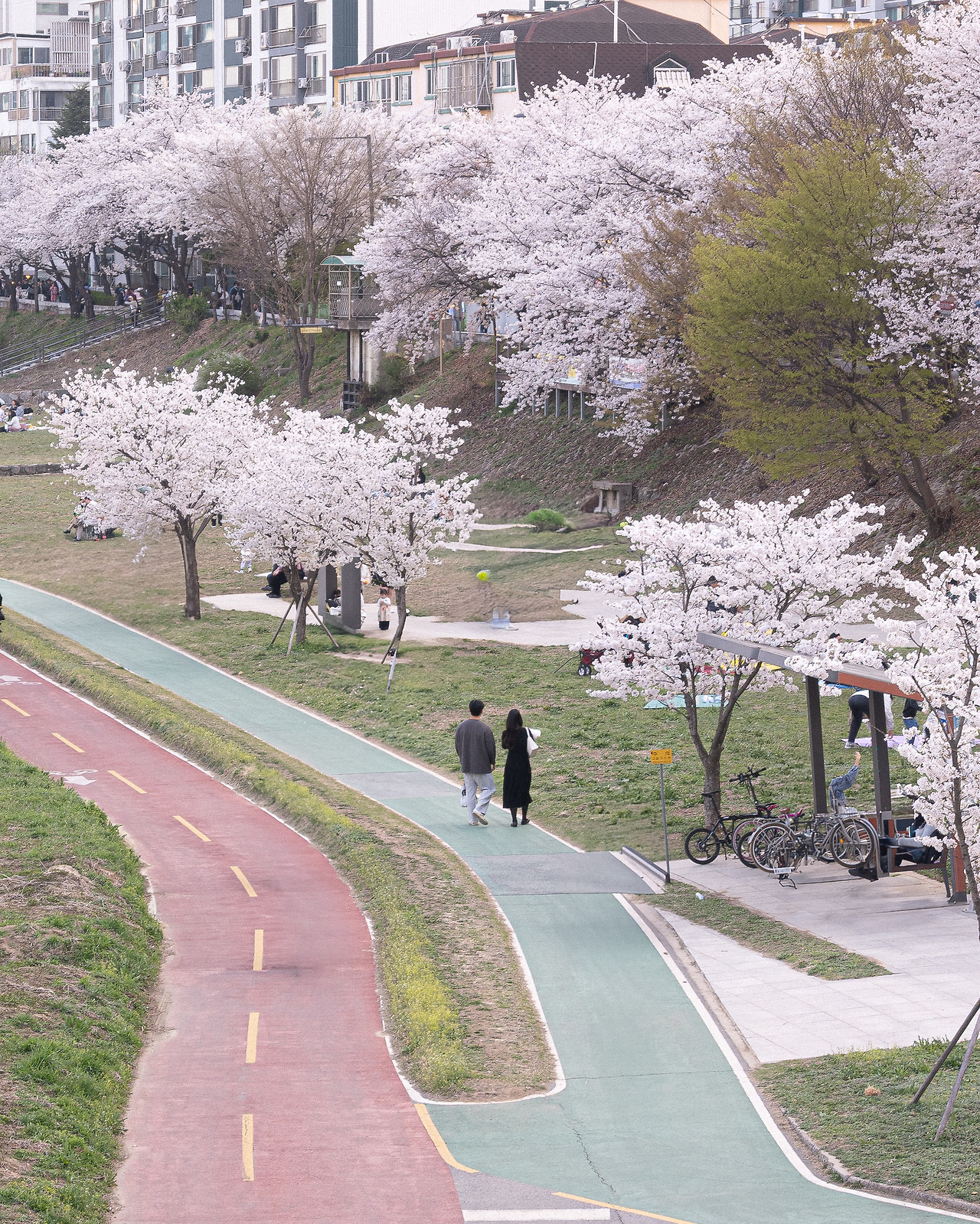 DSC_8893+ - 복사본.jpg