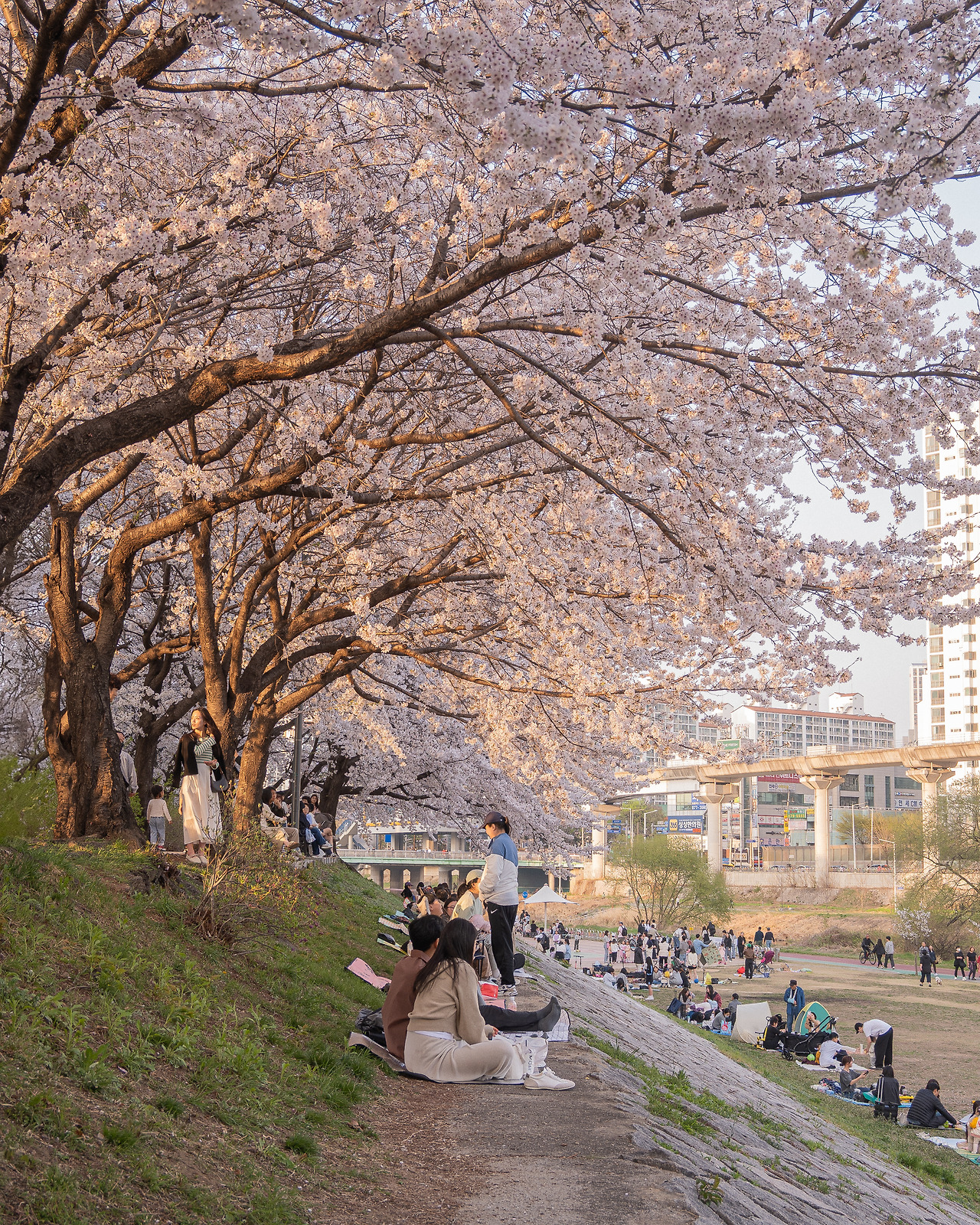 DSC_8925+ - 복사본.jpg