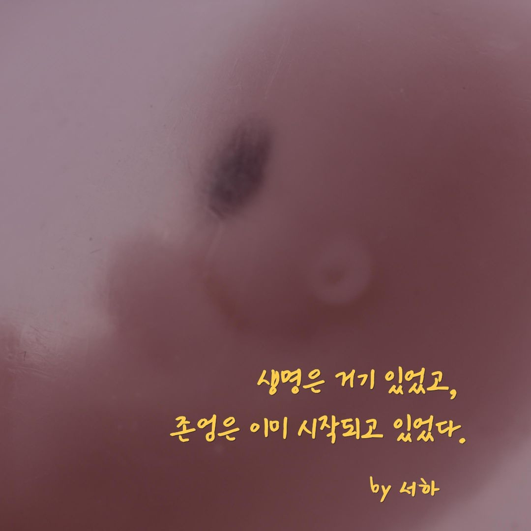 제목을 입력해주세요. (2).jpg