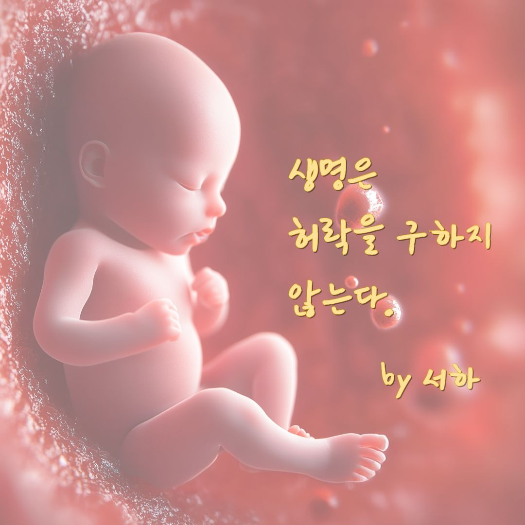 제목을 입력해주세요. (6).jpg