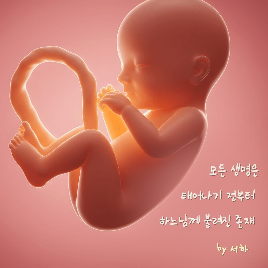 제목을 입력해주세요. (11).jpg