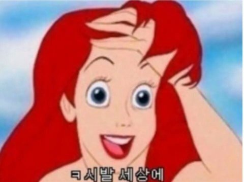 카지노 게임 추천