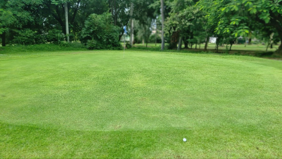 KakaoTalk_20250624_121047431_01 (1).jpg