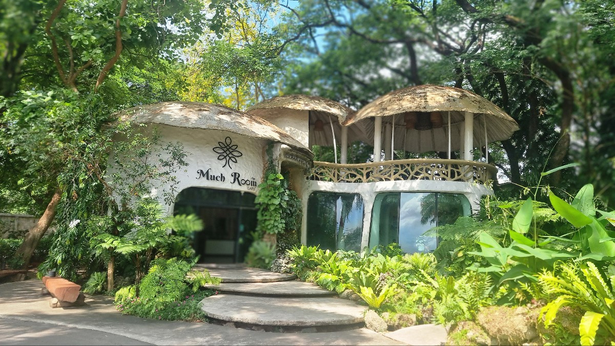 머치룸 카페.jpg