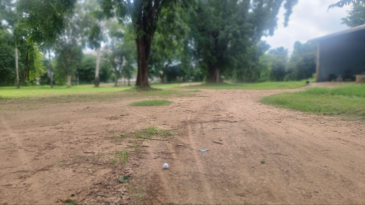 KakaoTalk_20250624_121047431_13 (1).jpg