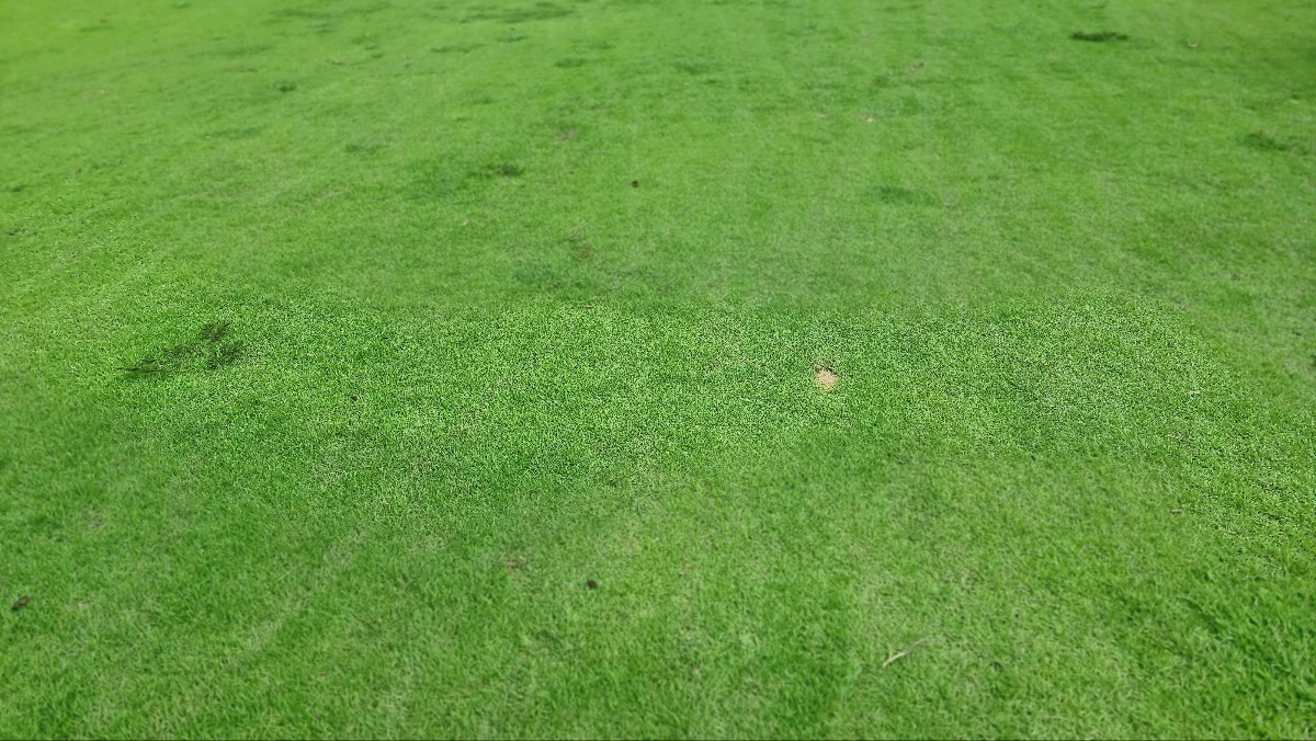 KakaoTalk_20250624_121047431_24 (1).jpg