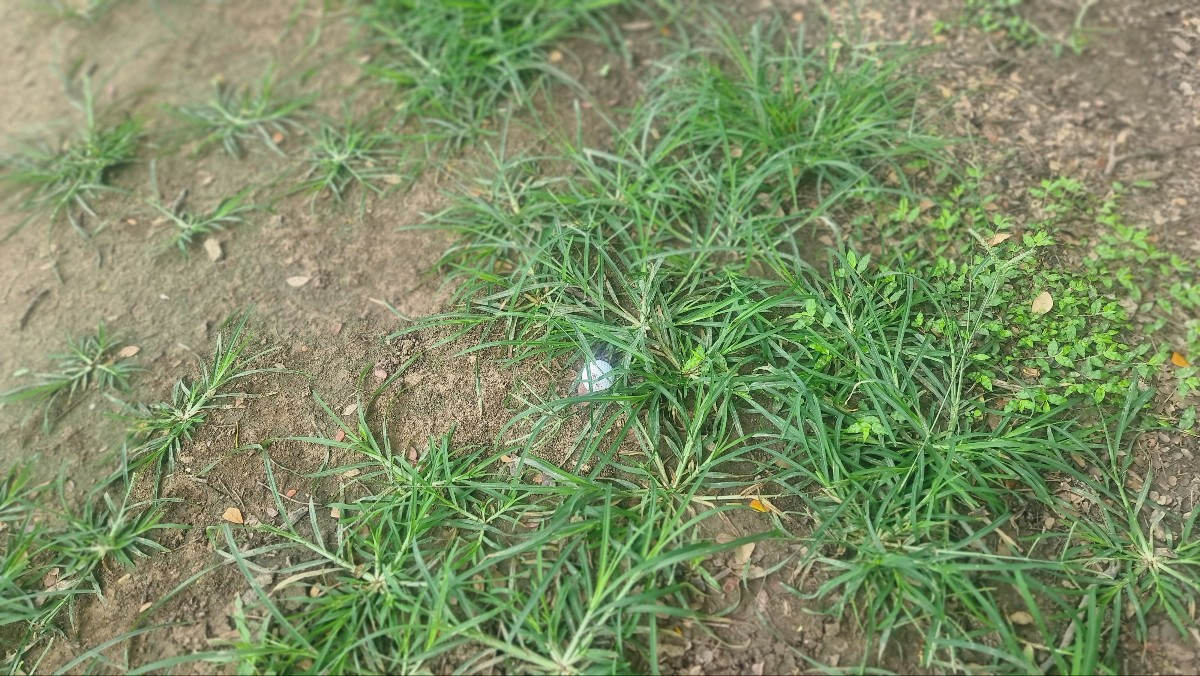 KakaoTalk_20250624_121047431_15 (1).jpg