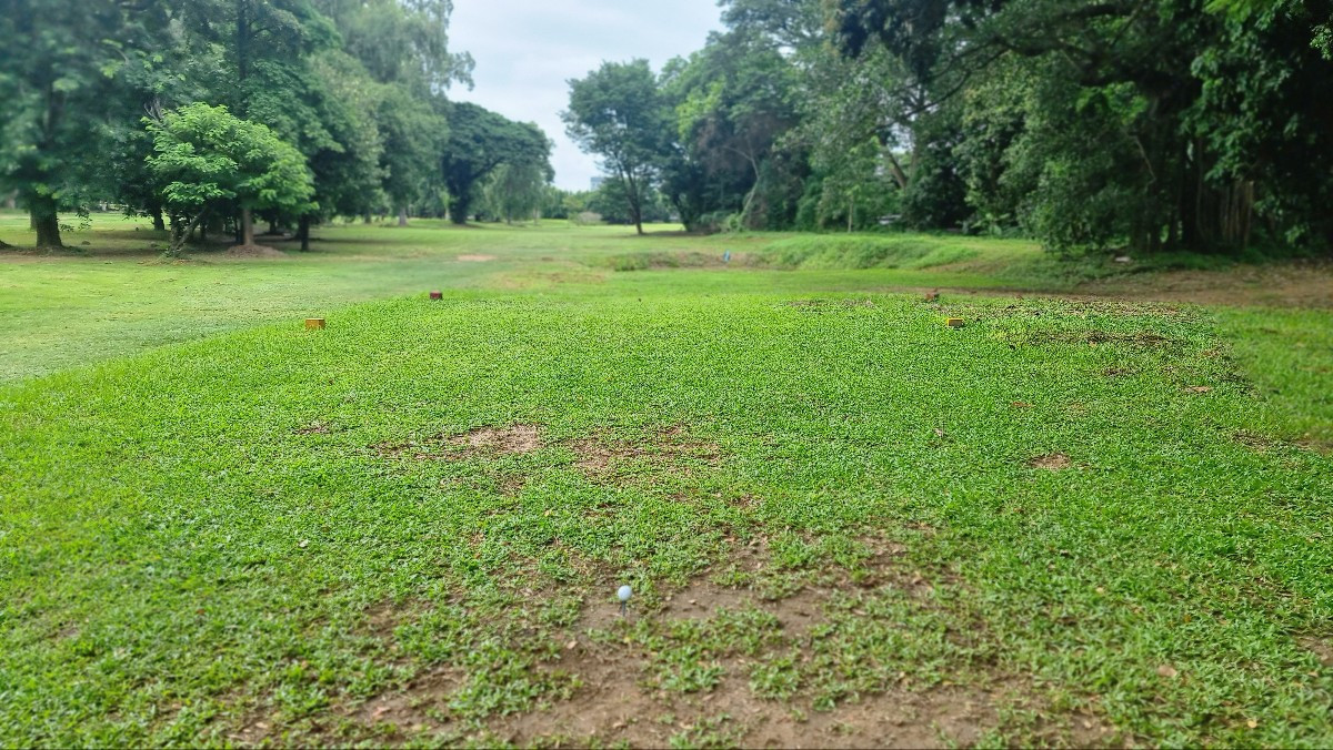 KakaoTalk_20250624_121047431_04 (1).jpg