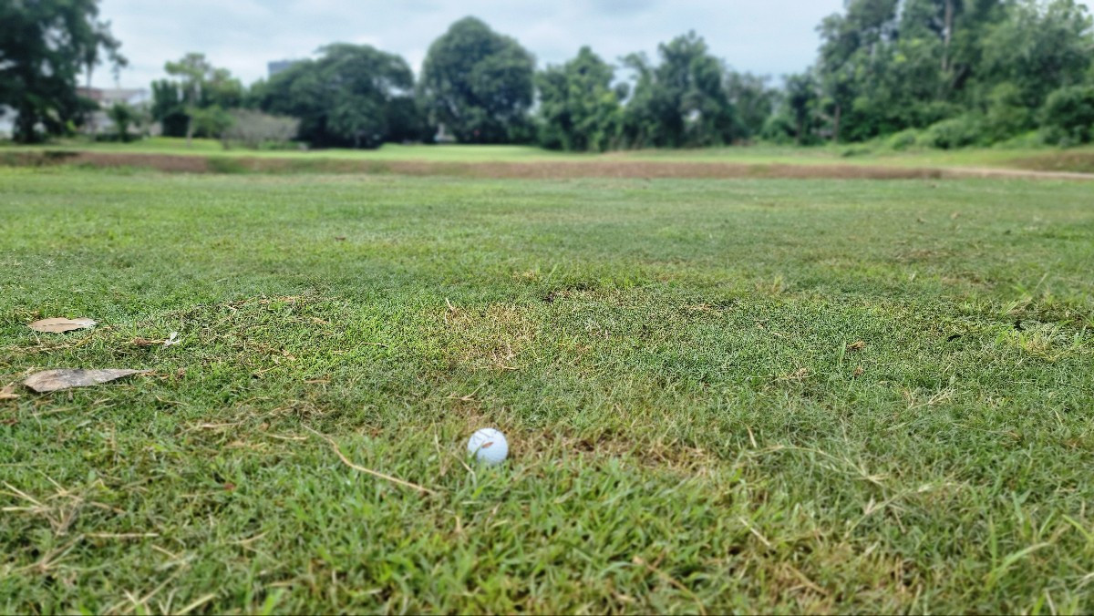 KakaoTalk_20250624_121047431_05 (1).jpg