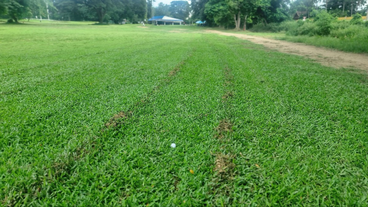 KakaoTalk_20250624_121047431_16 (1).jpg