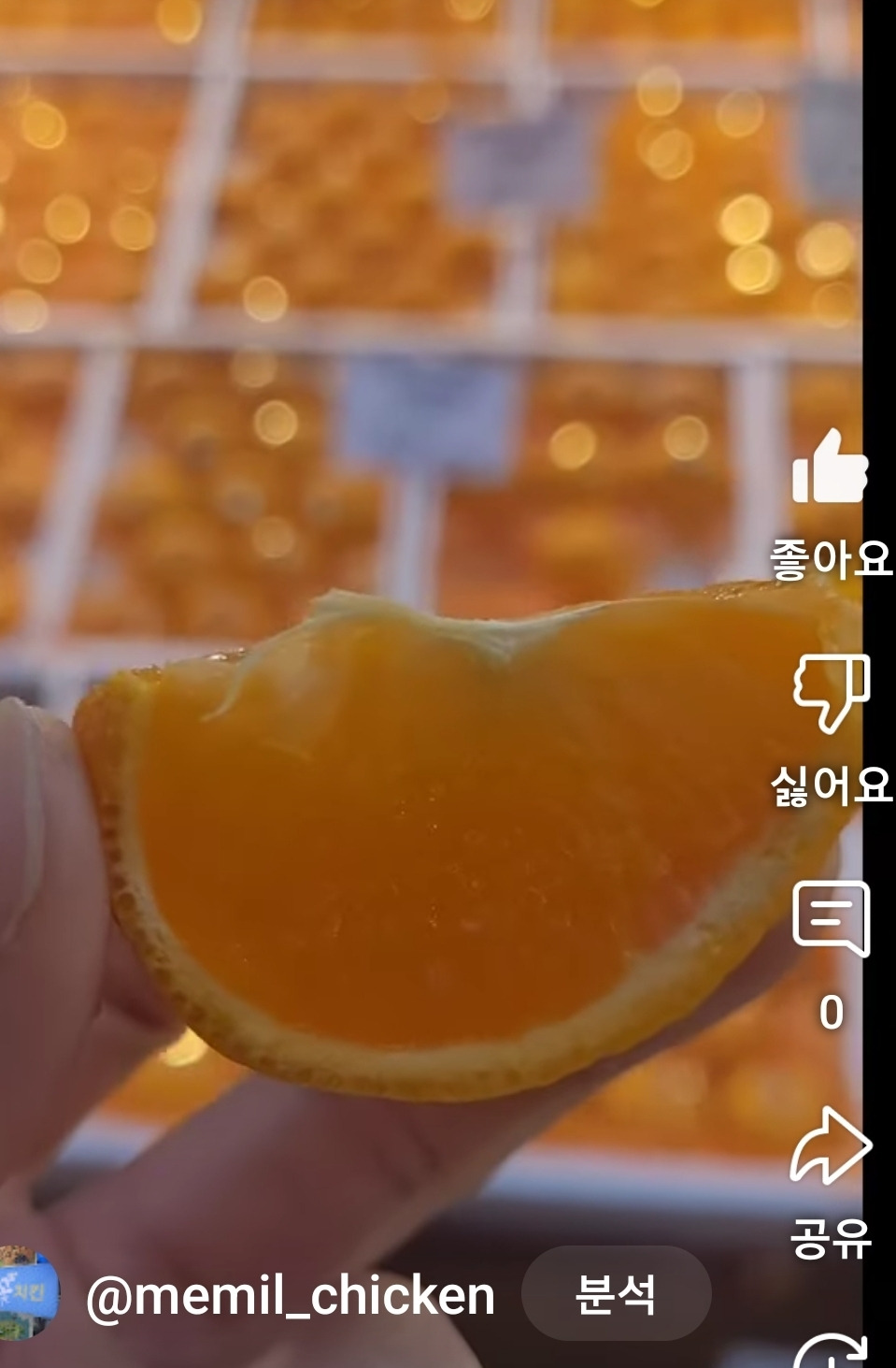 무료 카지노 게임