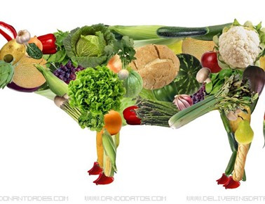 우아한 섭생_3_1.jpg