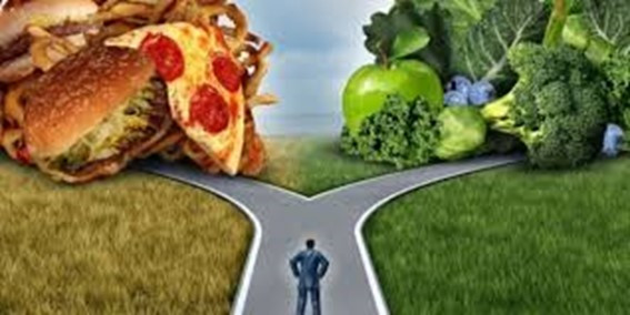 우아한 섭생_1_1.jpg