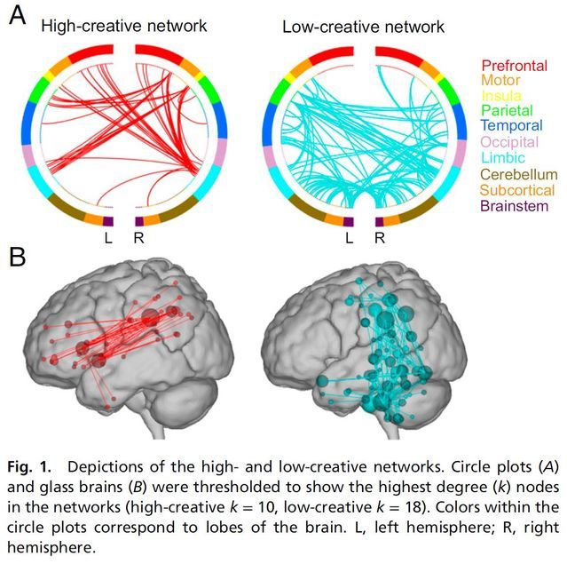 brain_creativity_networks_2018.jpg