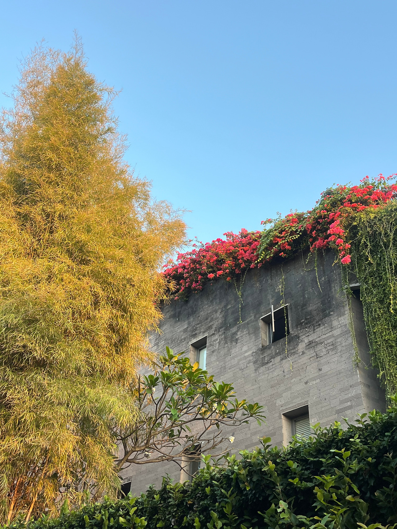 KakaoTalk_20250902_115012138_01 (1).jpg