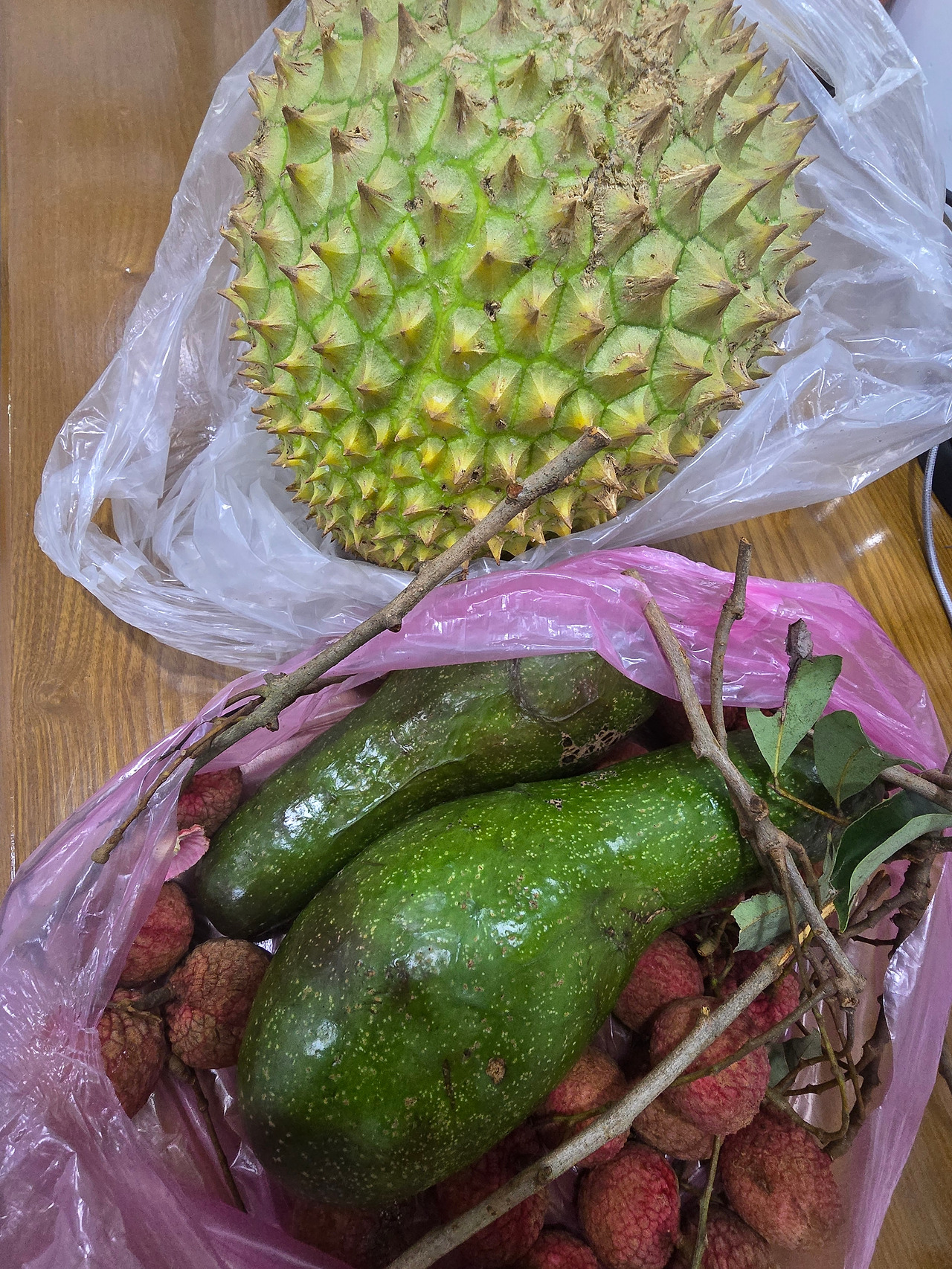 두리안과 아보카도 리치과일-앰어이가 가져옴_20251024_073534724.jpg