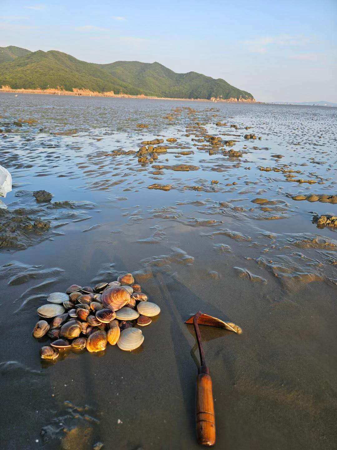 Weixin Image_20250910152652_11_50.jpg