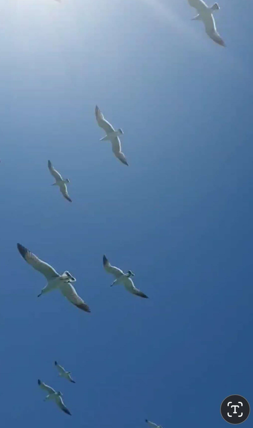 Weixin Image_20250708154357.jpg