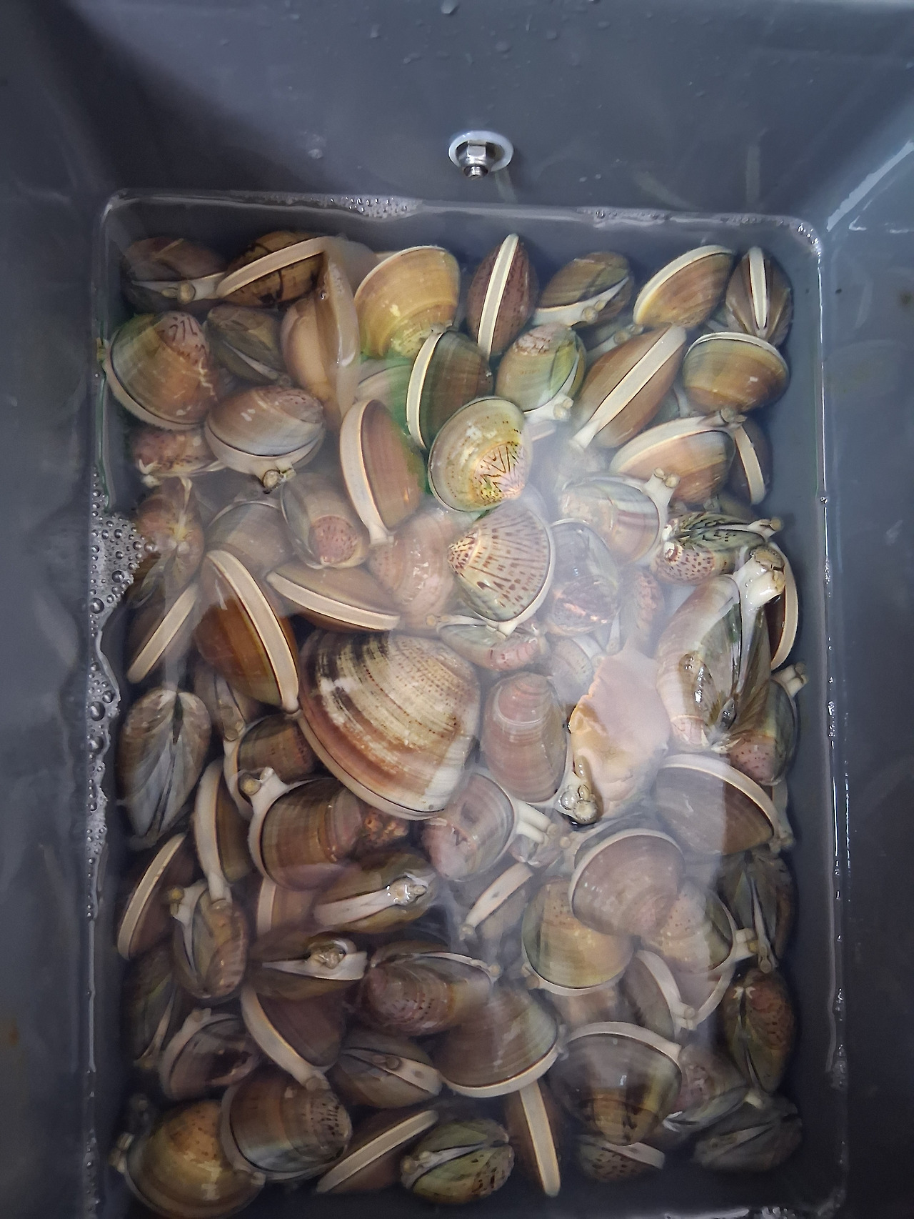 KakaoTalk_20250910_152926786_01 (1).jpg