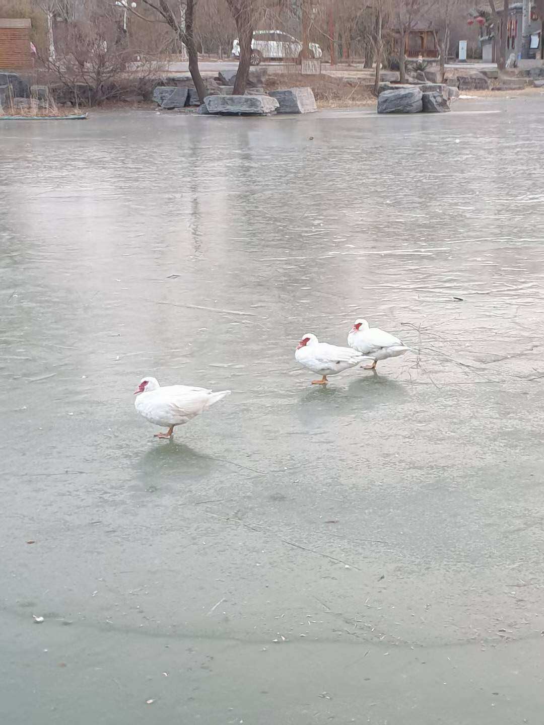 Weixin Image_20250708131756.jpg