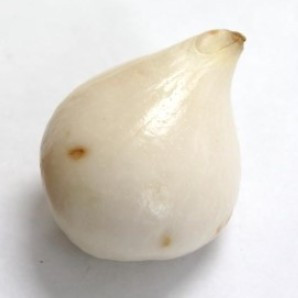 화면 캡처 2025-12-20 193250.jpg