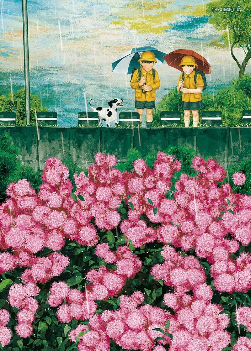 20250901 내려다보면.jpg