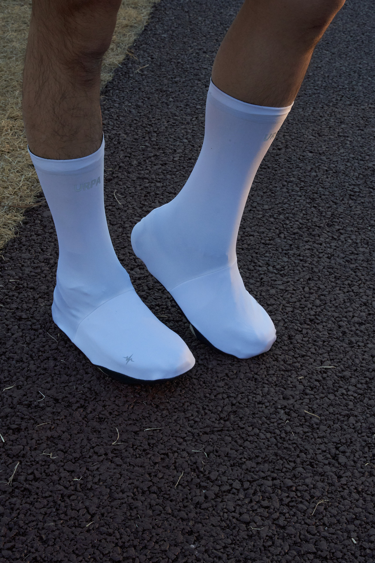 1209 슈커버5292.jpg