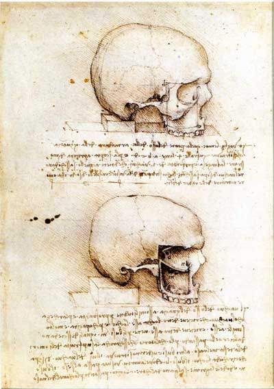 skulls-leonardo.jpg
