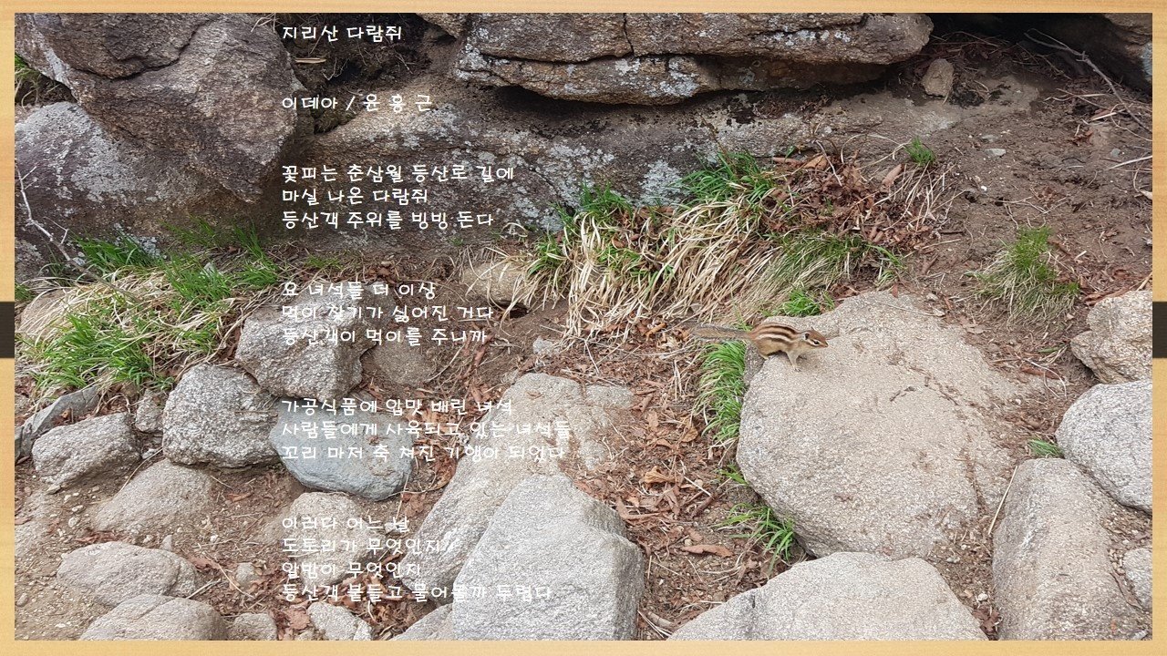 카지노 쿠폰