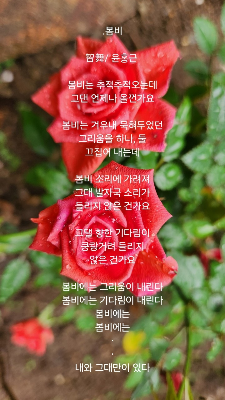 무료 카지노 게임