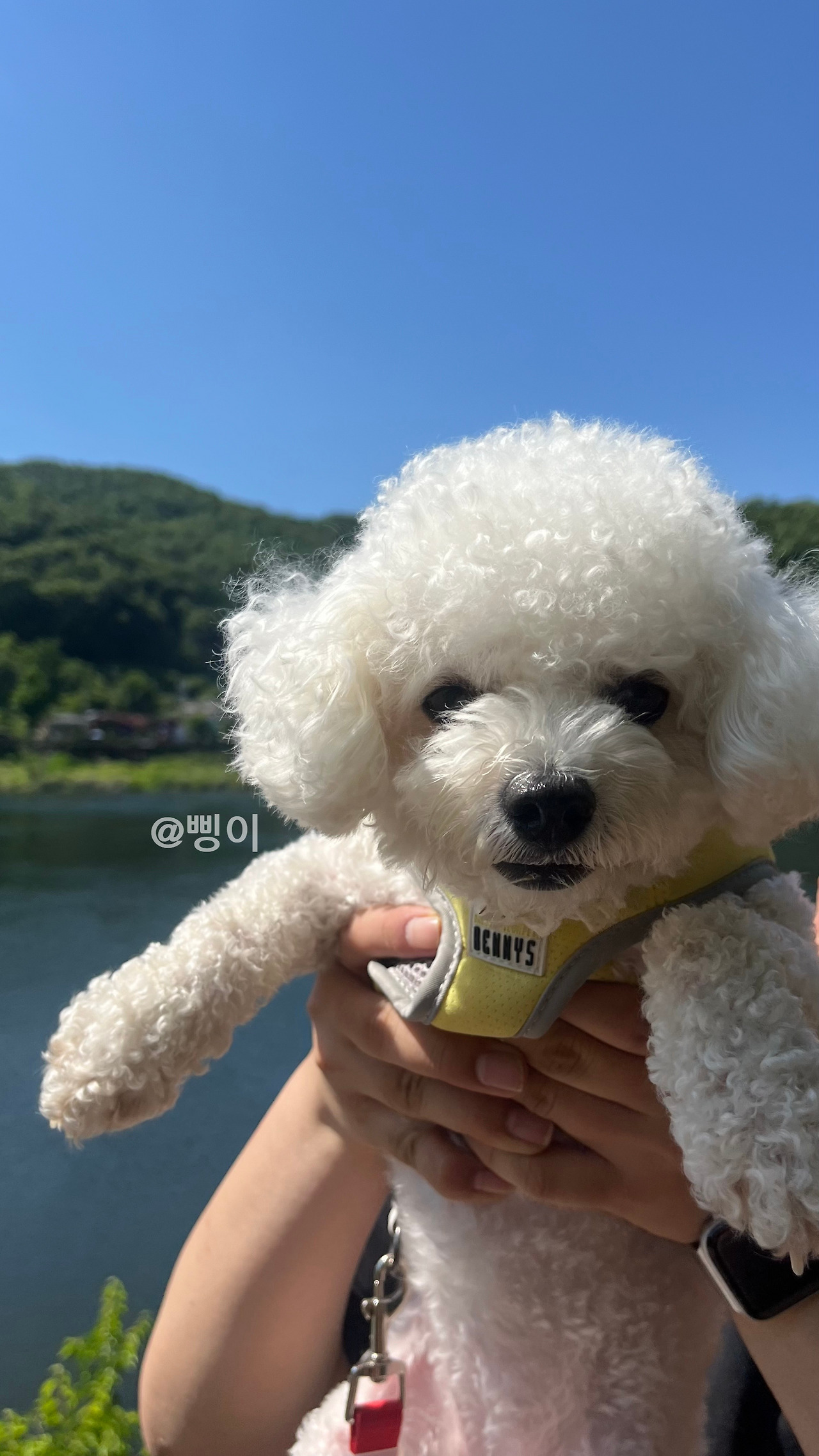 20240609_대청댐 (1).jpg