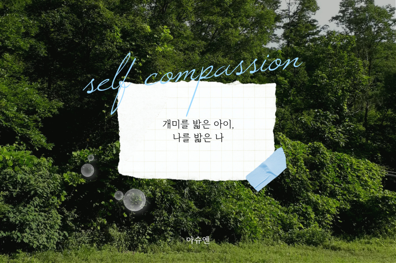 제목을 입력해주세요_-015 (1).jpg