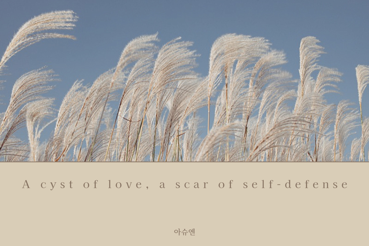 제목을 입력해주세요_-016 (1).jpg