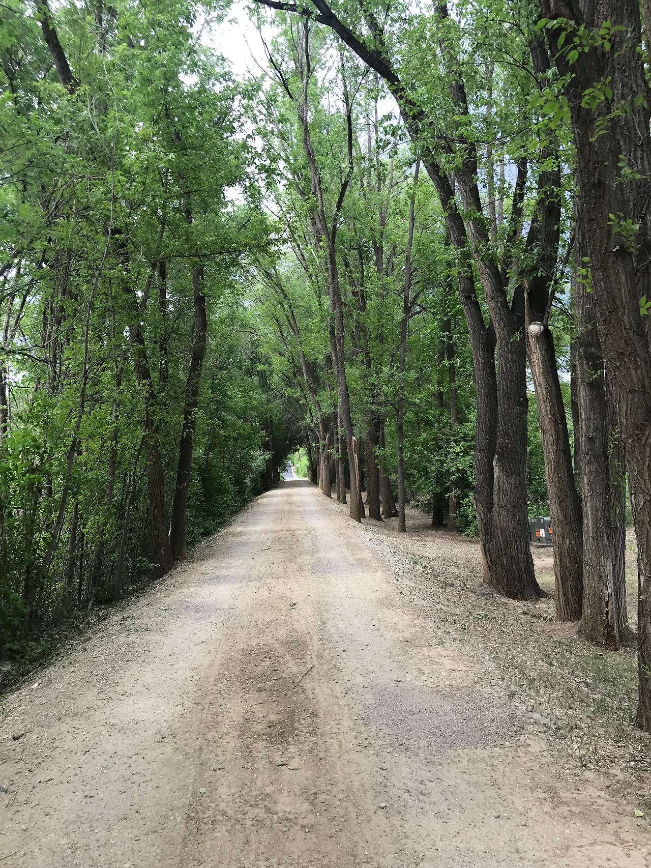 2018-06-13 16.20.57.jpg